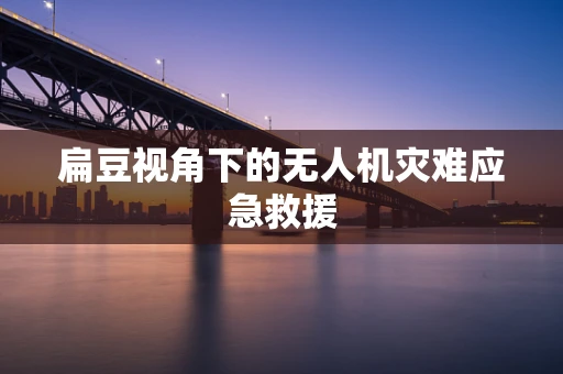 扁豆视角下的无人机灾难应急救援