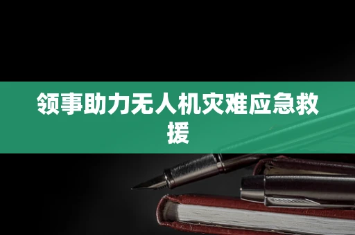 领事助力无人机灾难应急救援