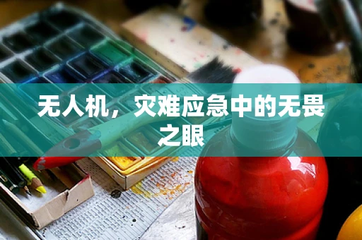 无人机，灾难应急中的无畏之眼