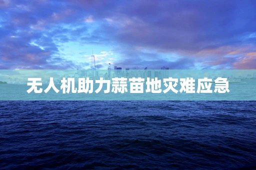 无人机助力蒜苗地灾难应急