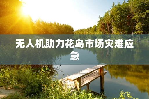 无人机助力花鸟市场灾难应急