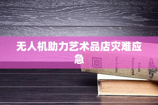 无人机助力艺术品店灾难应急