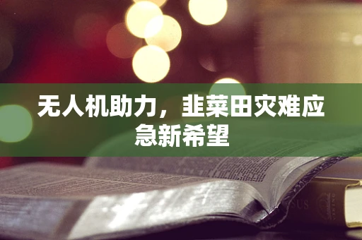 无人机助力，韭菜田灾难应急新希望