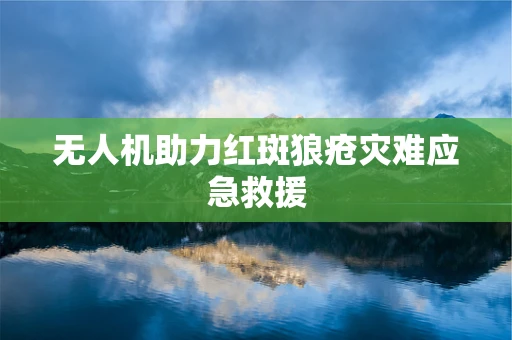 无人机助力红斑狼疮灾难应急救援