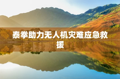 泰拳助力无人机灾难应急救援