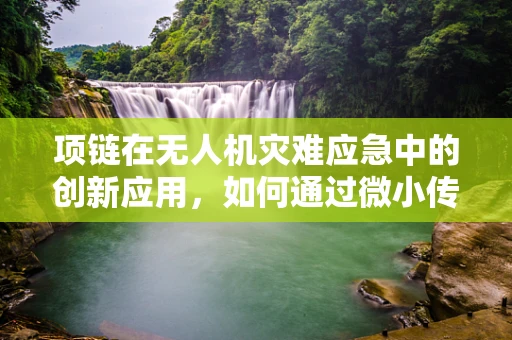 项链在无人机灾难应急中的创新应用，如何通过微小传感器实现大救援？