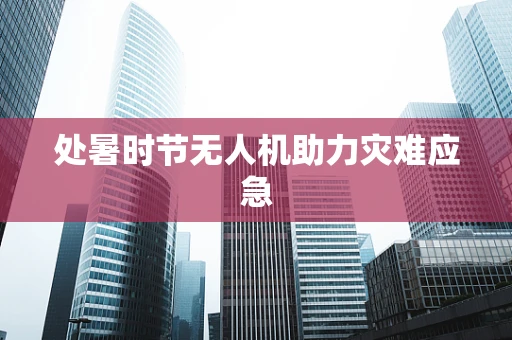 处暑时节无人机助力灾难应急
