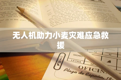 无人机助力小麦灾难应急救援