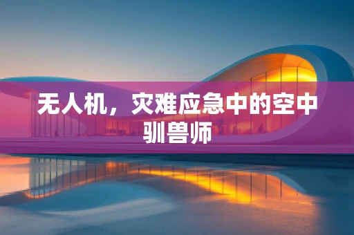 无人机，灾难应急中的空中驯兽师