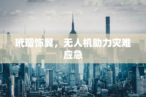 玳瑁饰翼，无人机助力灾难应急