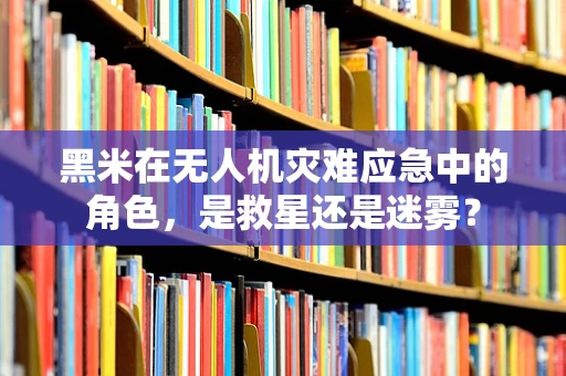 黑米在无人机灾难应急中的角色，是救星还是迷雾？