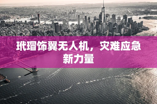 玳瑁饰翼无人机，灾难应急新力量