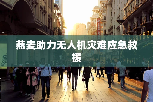 燕麦助力无人机灾难应急救援