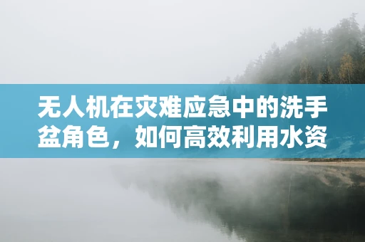 无人机在灾难应急中的洗手盆角色，如何高效利用水资源监测与分配？