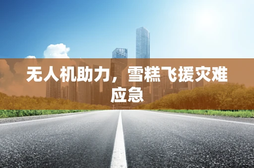 无人机助力，雪糕飞援灾难应急