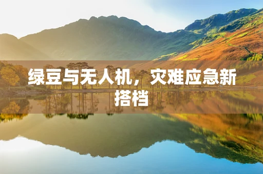 绿豆与无人机，灾难应急新搭档
