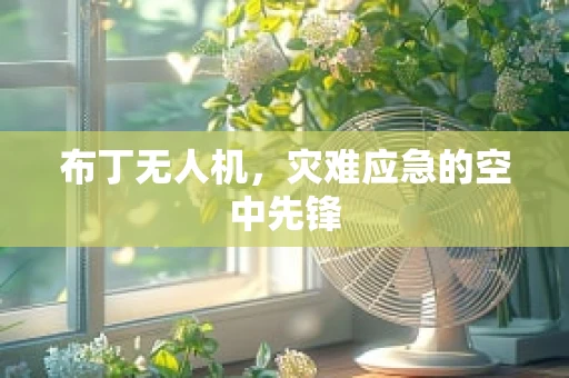 布丁无人机，灾难应急的空中先锋