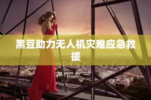 黑豆助力无人机灾难应急救援