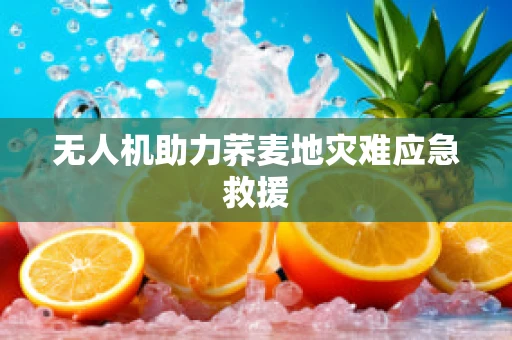 无人机助力荞麦地灾难应急救援