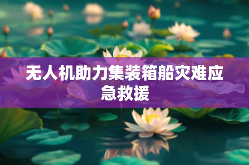 无人机助力集装箱船灾难应急救援
