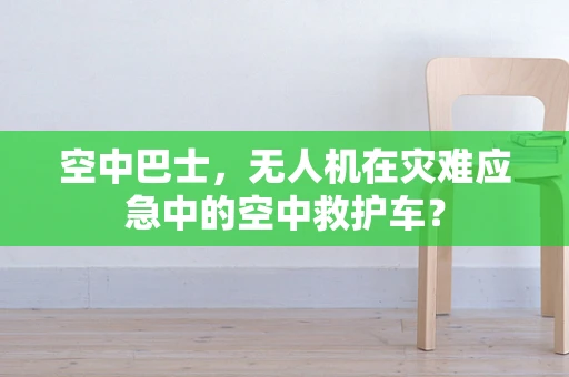 空中巴士，无人机在灾难应急中的空中救护车？
