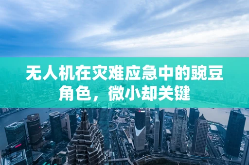 无人机在灾难应急中的豌豆角色，微小却关键