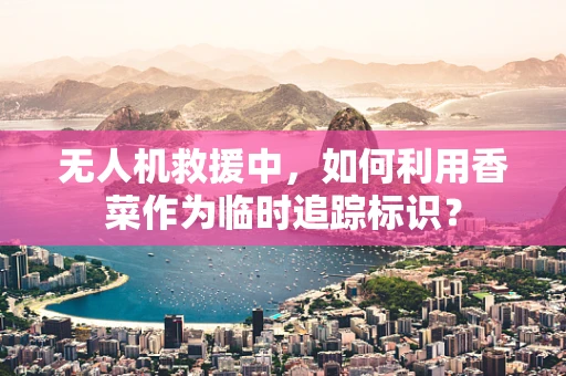 无人机救援中，如何利用香菜作为临时追踪标识？