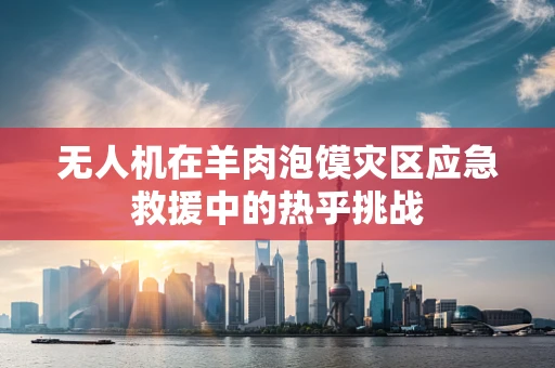 无人机在羊肉泡馍灾区应急救援中的热乎挑战