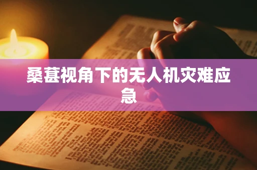 桑葚视角下的无人机灾难应急