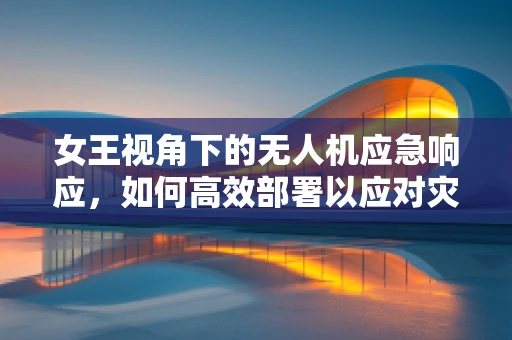 女王视角下的无人机应急响应，如何高效部署以应对灾难？