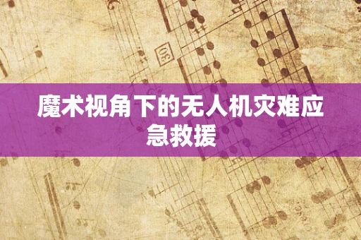 魔术视角下的无人机灾难应急救援