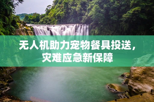 无人机助力宠物餐具投送，灾难应急新保障