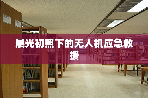 晨光初照下的无人机应急救援