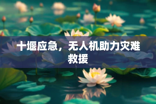 十堰应急，无人机助力灾难救援