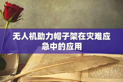 无人机助力帽子架在灾难应急中的应用
