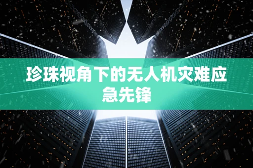 珍珠视角下的无人机灾难应急先锋