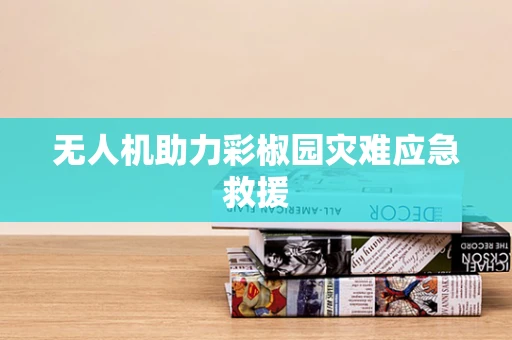 无人机助力彩椒园灾难应急救援