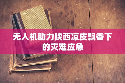 无人机助力陕西凉皮飘香下的灾难应急