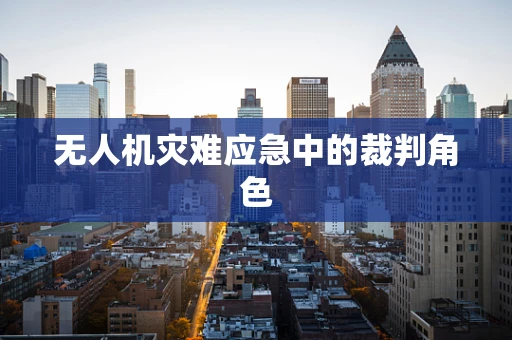 无人机灾难应急中的裁判角色