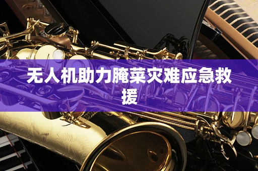 无人机助力腌菜灾难应急救援