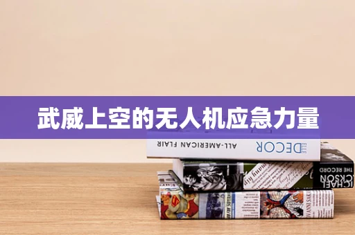 武威上空的无人机应急力量