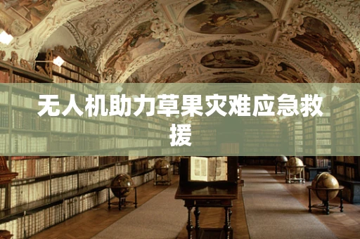 无人机助力草果灾难应急救援