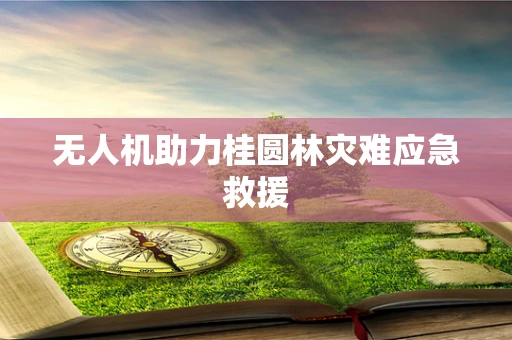 无人机助力桂圆林灾难应急救援