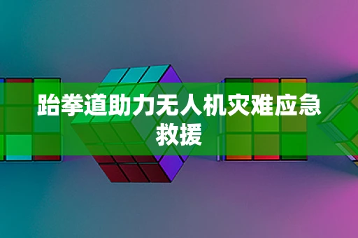 跆拳道助力无人机灾难应急救援