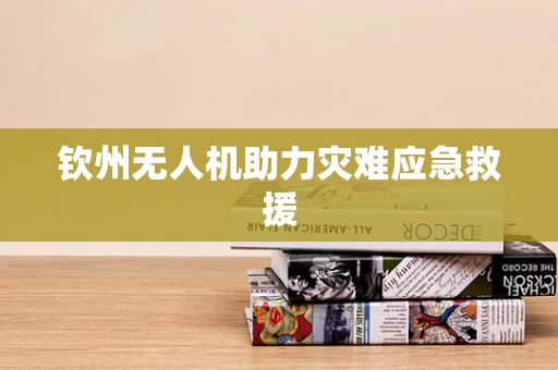 钦州无人机助力灾难应急救援