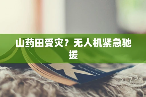 山药田受灾？无人机紧急驰援