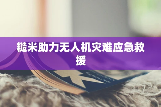 糙米助力无人机灾难应急救援
