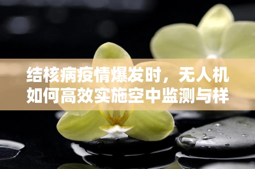 结核病疫情爆发时，无人机如何高效实施空中监测与样本采集？