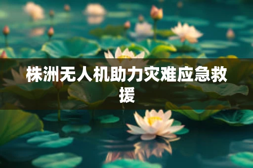 株洲无人机助力灾难应急救援