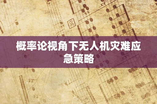 概率论视角下无人机灾难应急策略